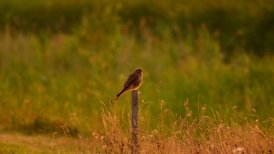 2022 13 en 22 juli 211